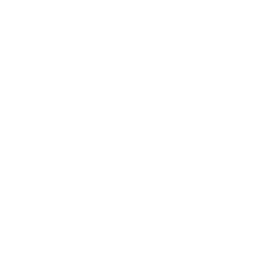 WiZink