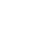 DISNEY+