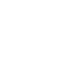 NEINVER-en